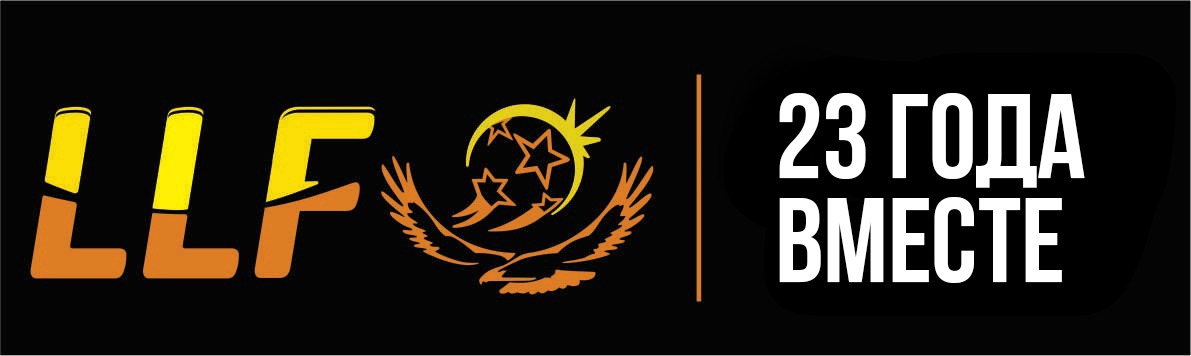 Mini Football League